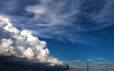 Þegar varðhundar lýðræðisins bregðast