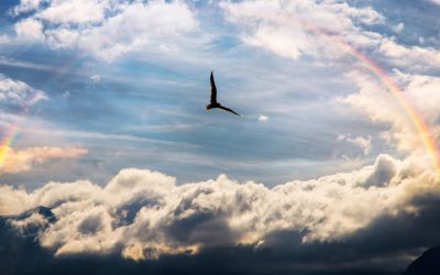 Inga Solla vs. Björn Borg