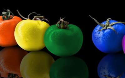 Krókur á móti bragði