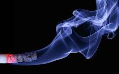 Bönnum reykingar á heimilum