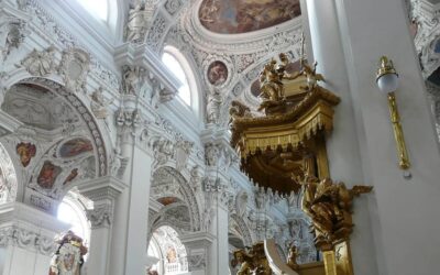 Verufræðileg rökleysa