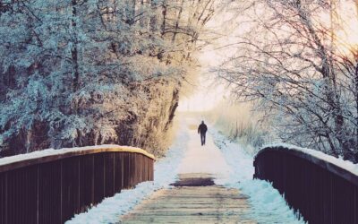 Hálka á velferðarbrúnni?