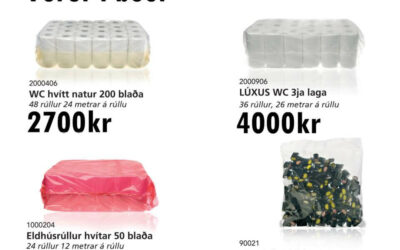 Styrktarsöfnun fyrir vinnuferð hjá Skammtímaheimili fyrir unglinga í Reykjavík