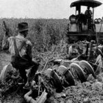 Agriculture_(Plowing)_CNE-v1-p58-H