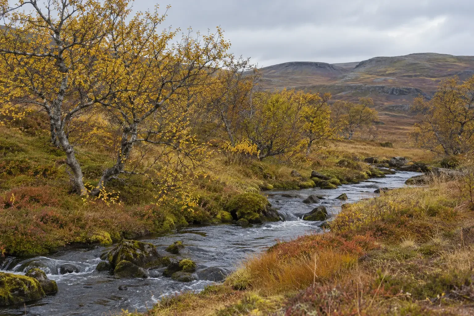 Haustið náttúrumynd Opna grein