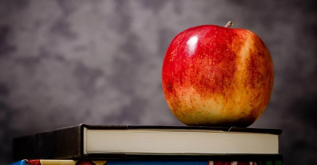 apple-skoli-epli