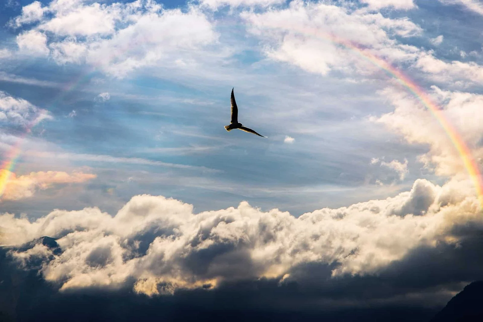 sky-4850411_1920